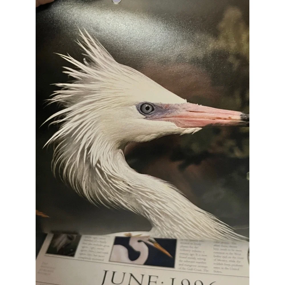 Vintage 1996 1997 Audubon Wild Birds Calendars National Audubon Society Set of 2